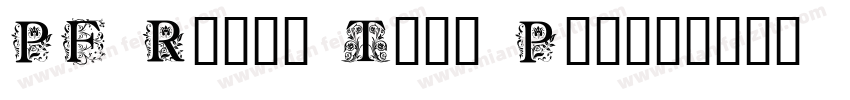 PF Regal Text Pro字体转换